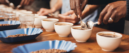 Coffee tasting