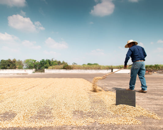 Coffee Prices are Spiking but Don't Compromise on Quality
