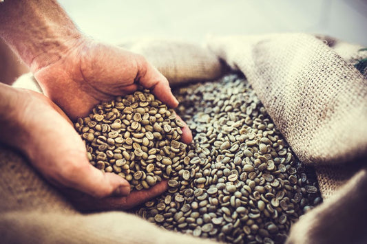 How to make Green Coffee Extract