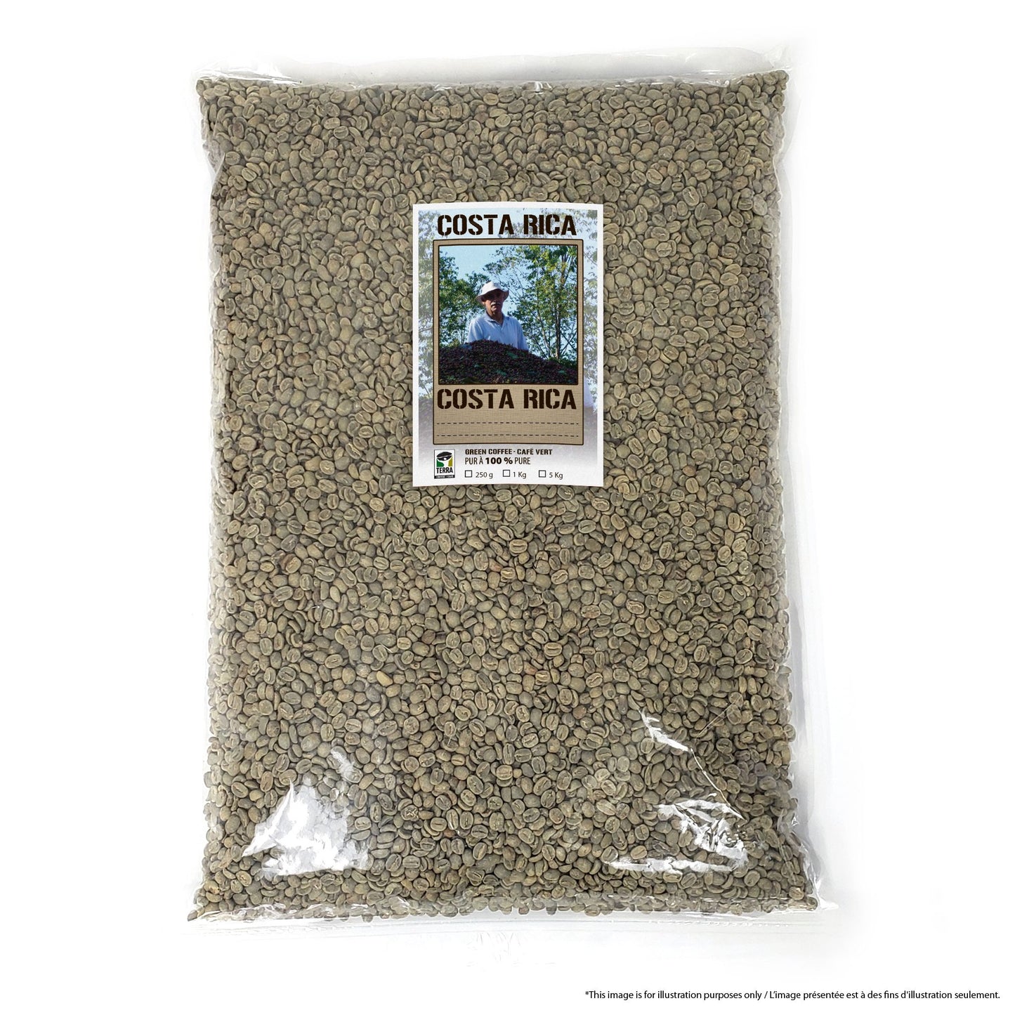 Costa Rica Tarrazu SHB EP - Green Coffee