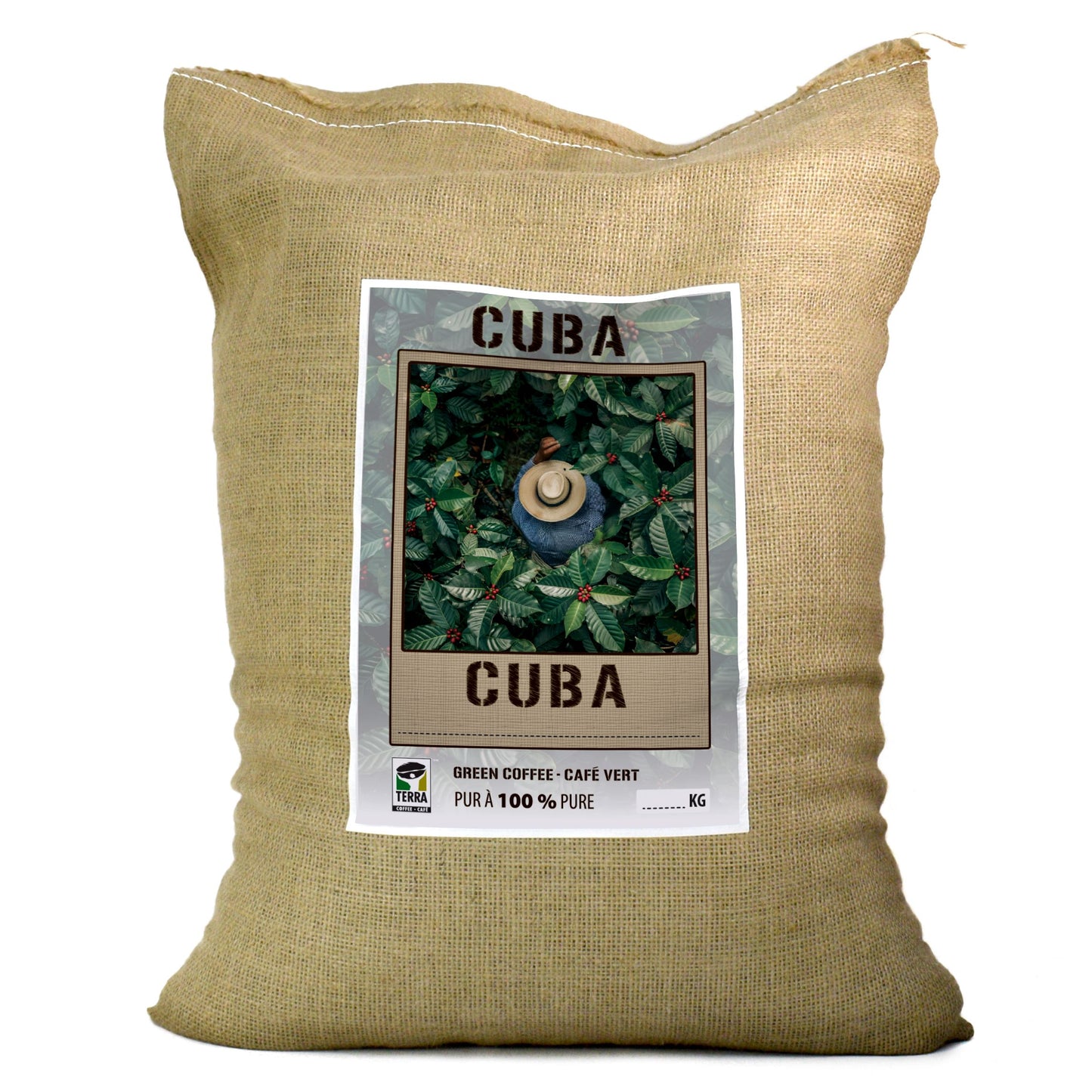 Cuba Caracolillo - Green Coffee