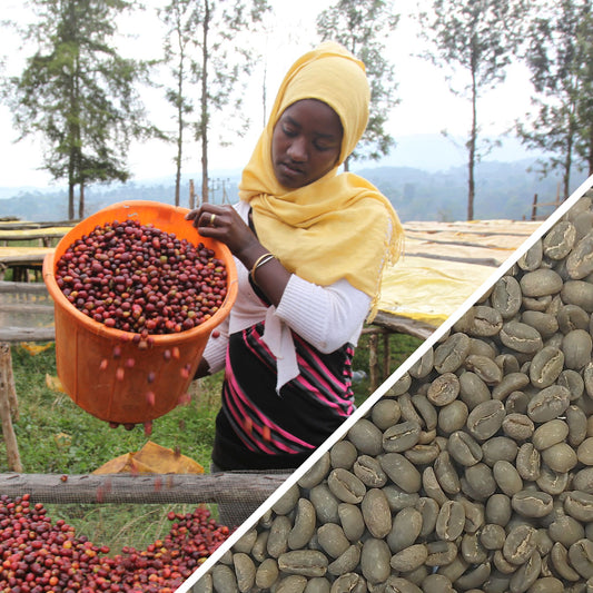 Éthiopie Guji Hangadi Grade 2 - Café vert