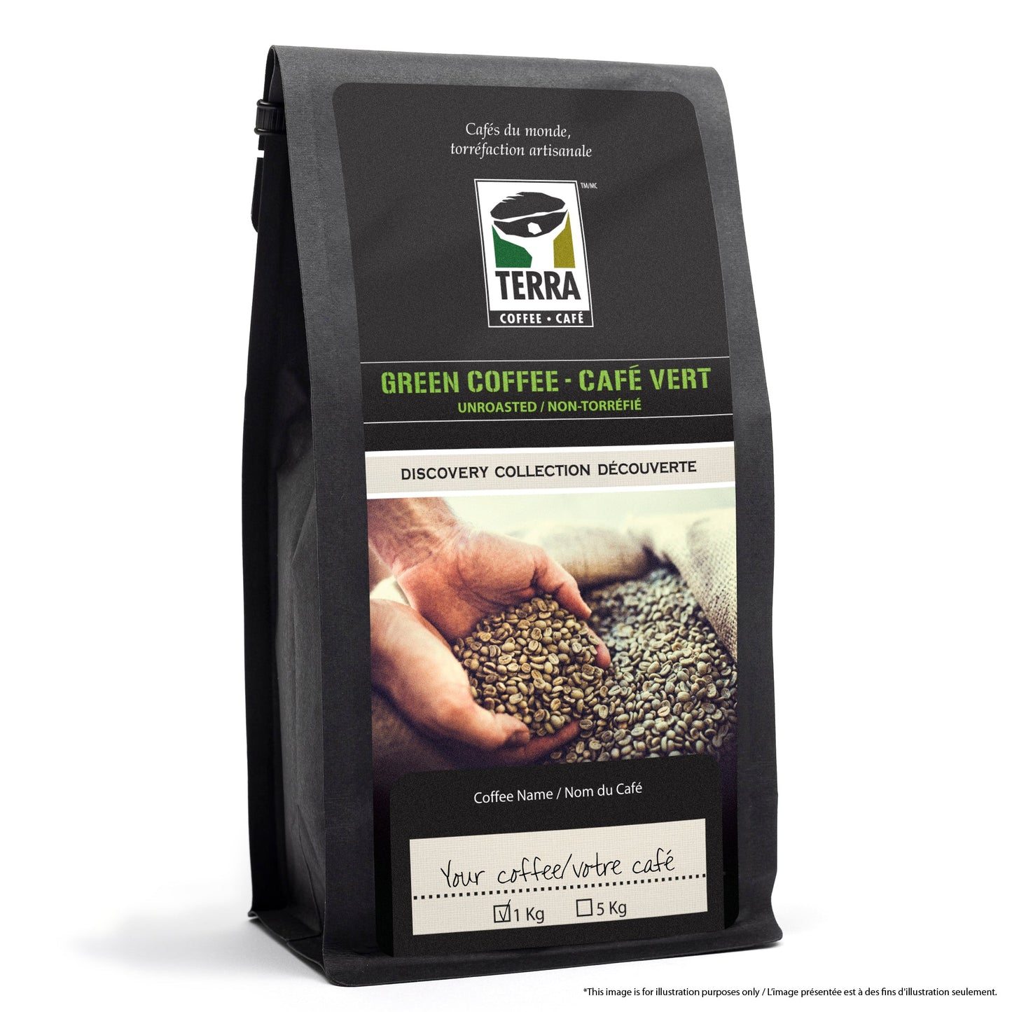 India Parchment Peaberry Robusta - Green Coffee