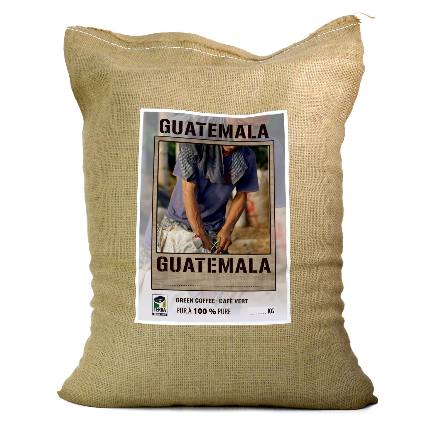 Guatemala Huehuetenango SHB EP - Green Coffee