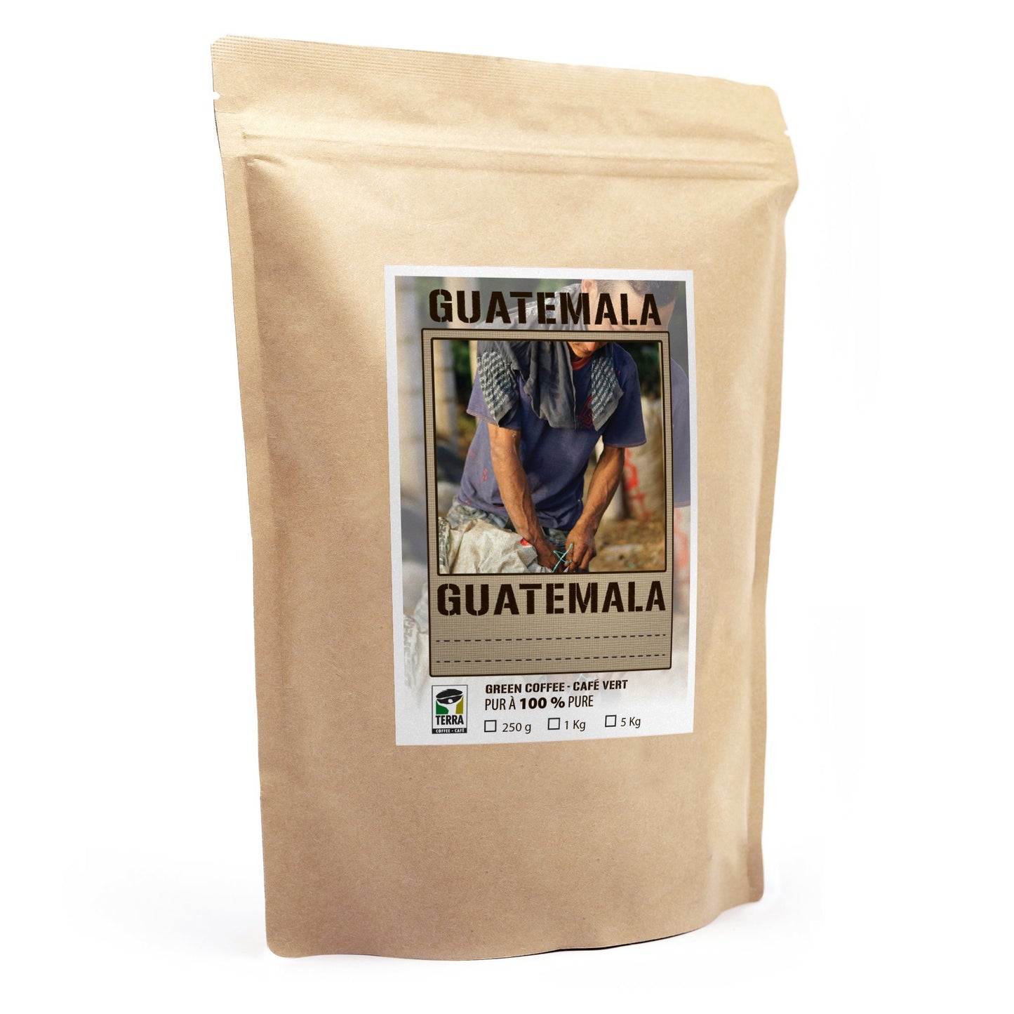 Guatemala Huehuetenango SHB EP - Green Coffee