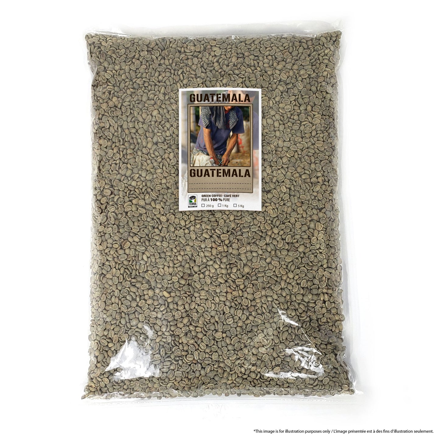 Guatemala Huehuetenango SHB EP - Green Coffee