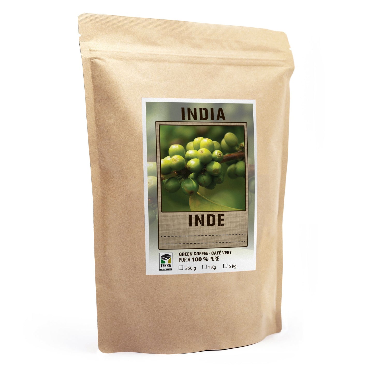 India Mysore Golden Nuggets Extra Bold - Green Coffee