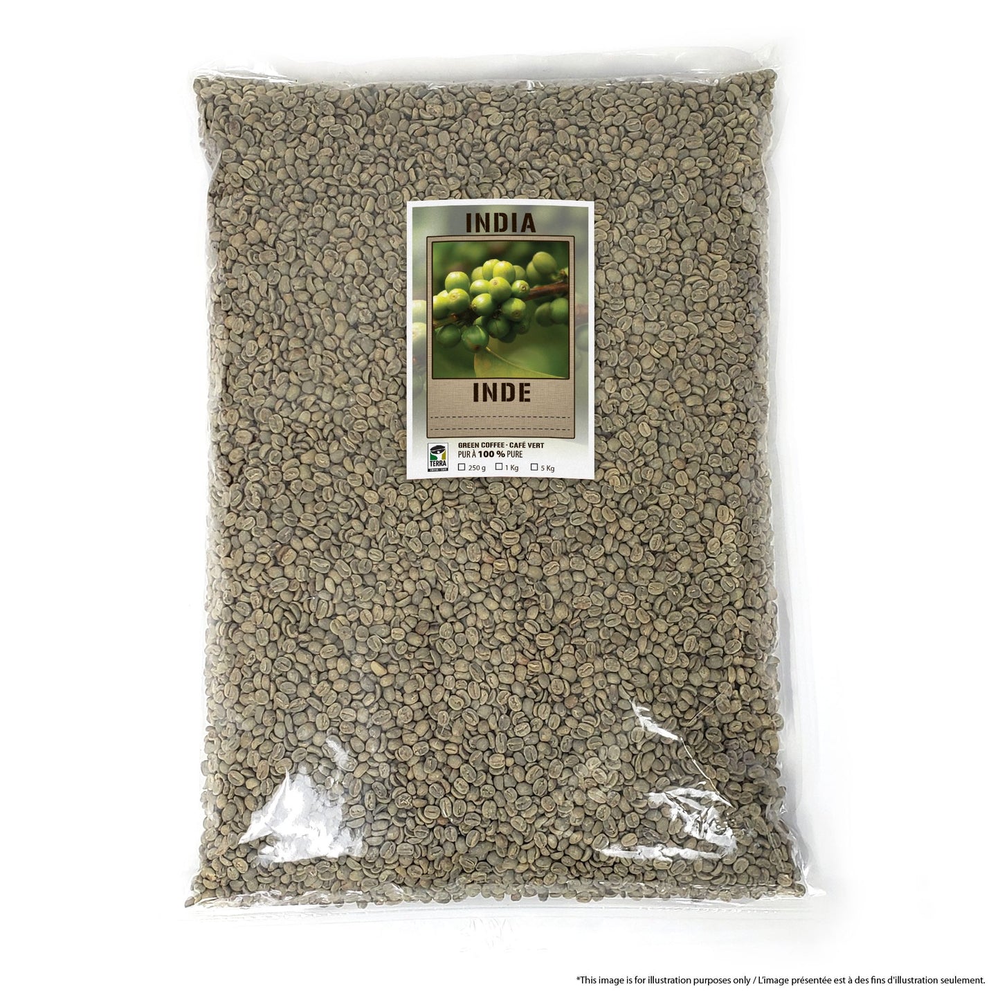India Mysore Golden Nuggets Extra Bold - Green Coffee