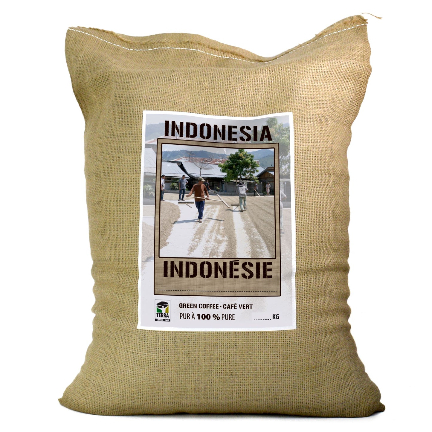 Kopi Luwak - Certified Humane - Green Coffee