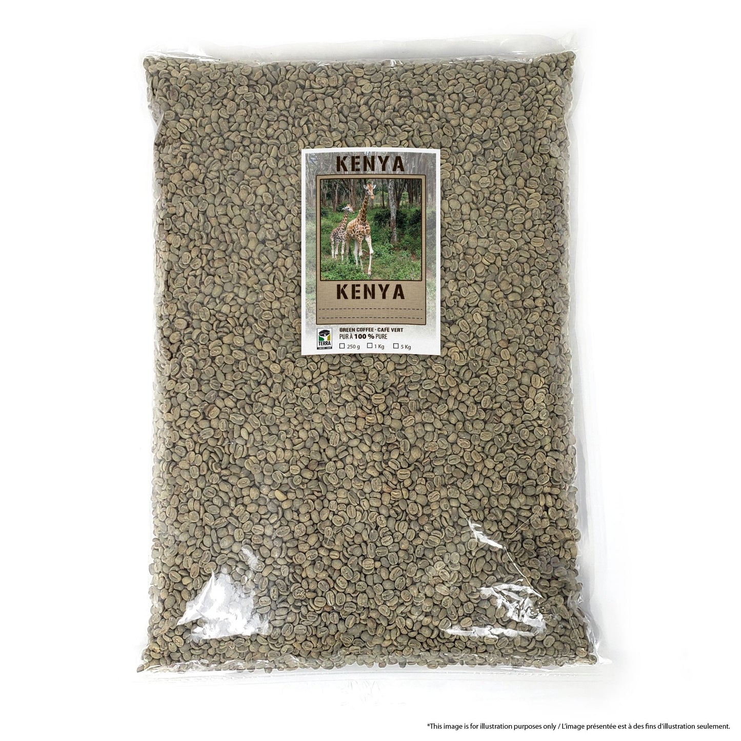 Kenya AA Estate - Green Coffee