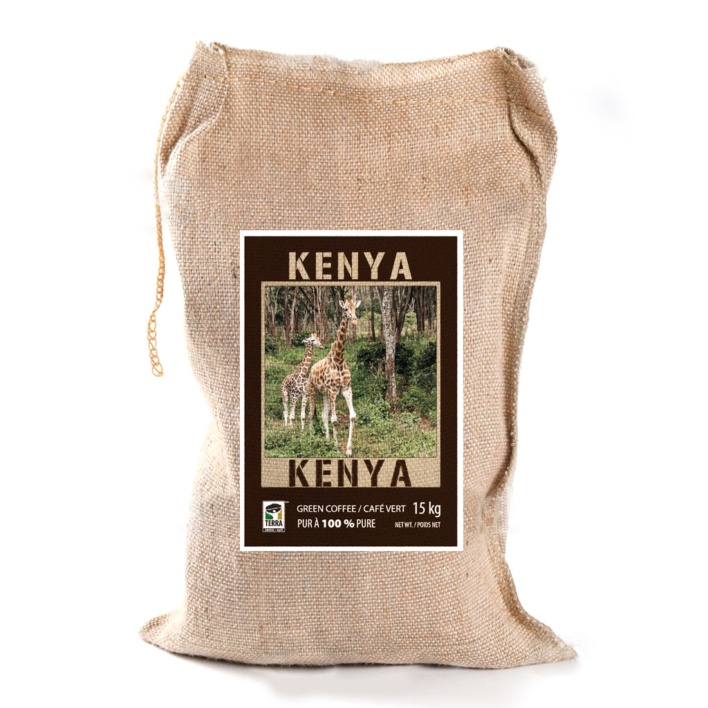 KENYA DOMAINE AA  - CAFÉ VERT