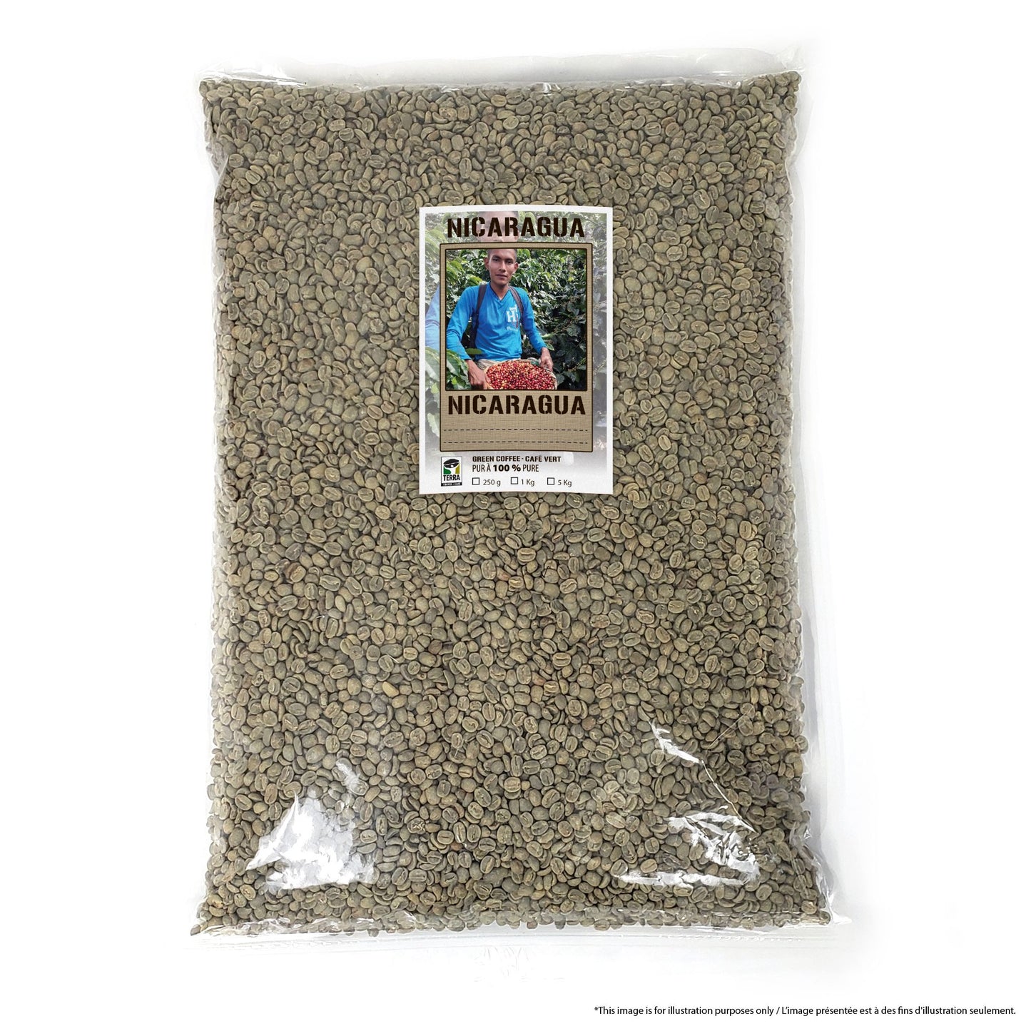 Nicaragua SHB II Cielo Estate - Green Coffee