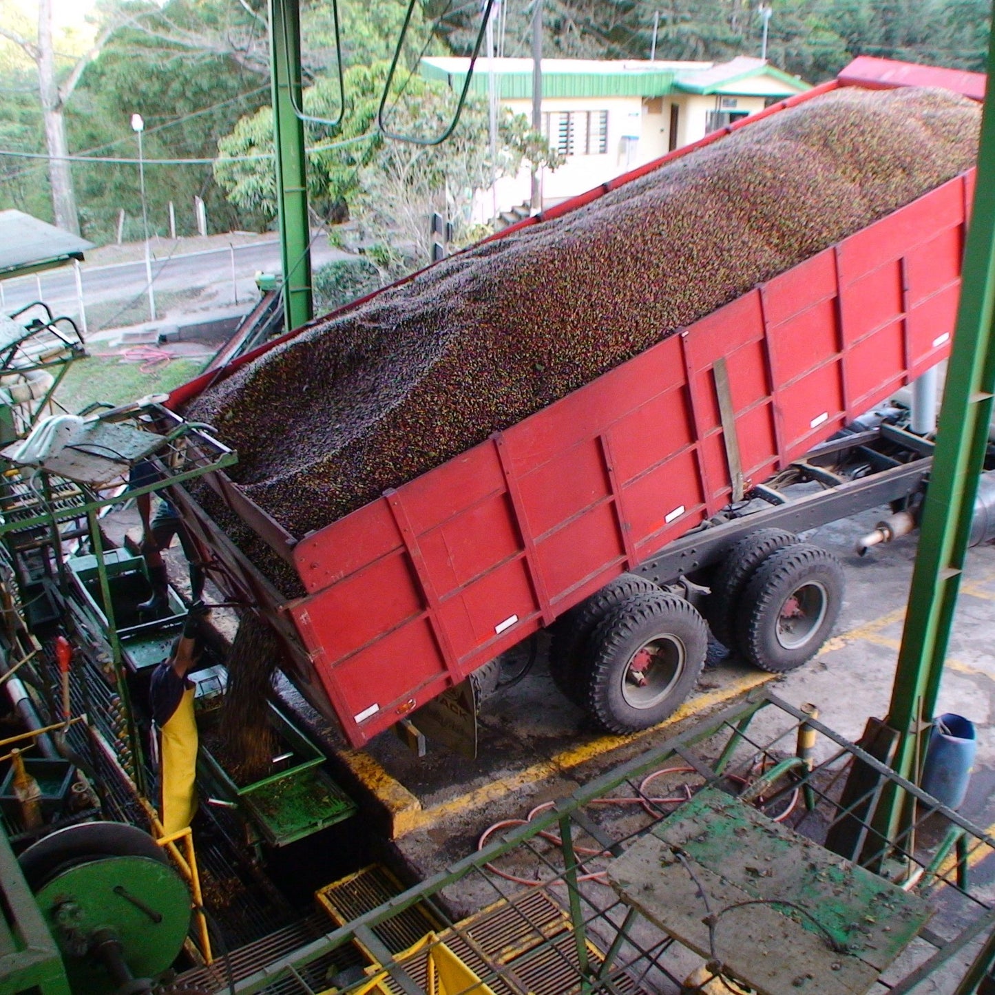 Costa Rica La Joya Coffee