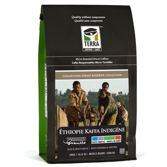 Éthiopie Kaffa Forêt Indigène