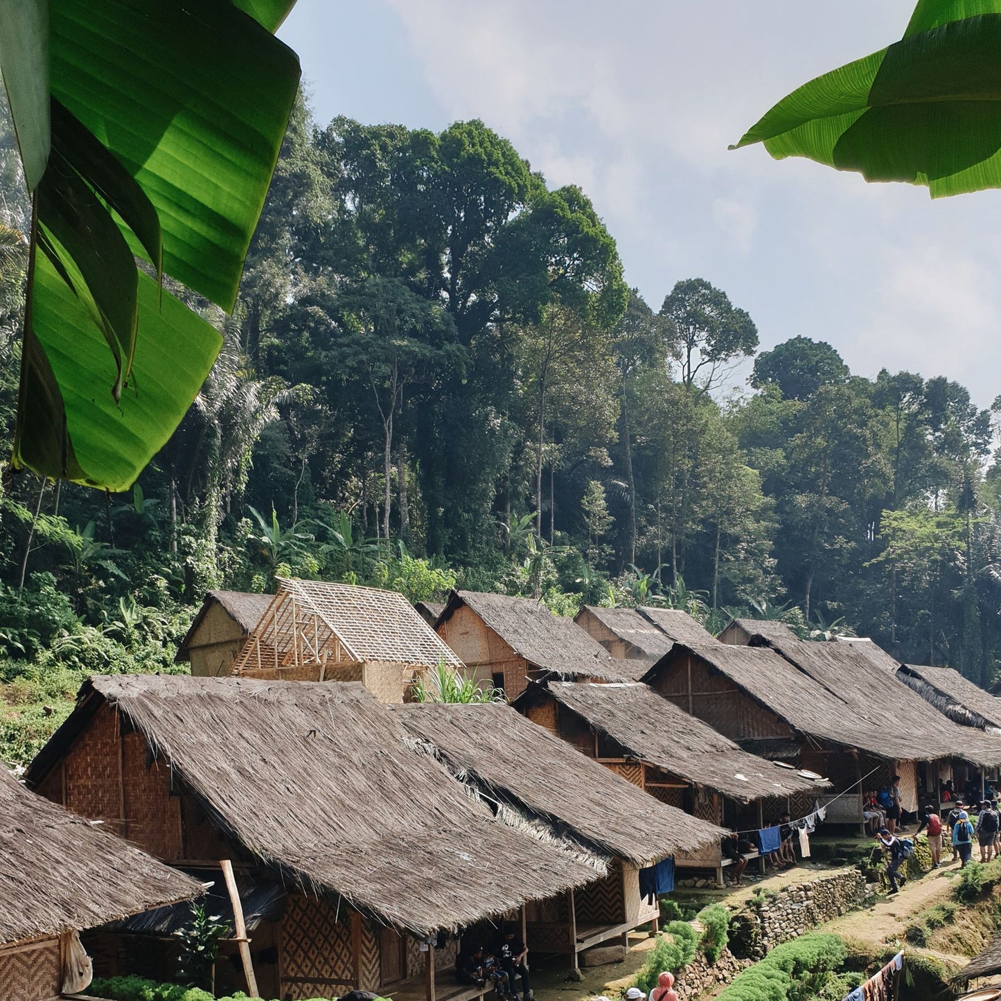 Indonesia Flores Watujaji Coffee