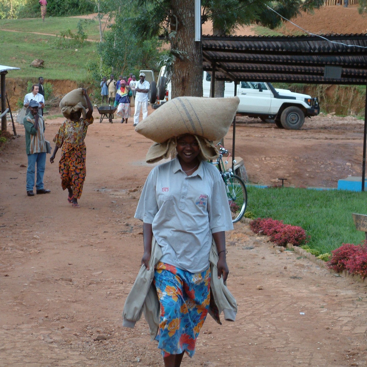 Kenya Special Reserve Coffee
