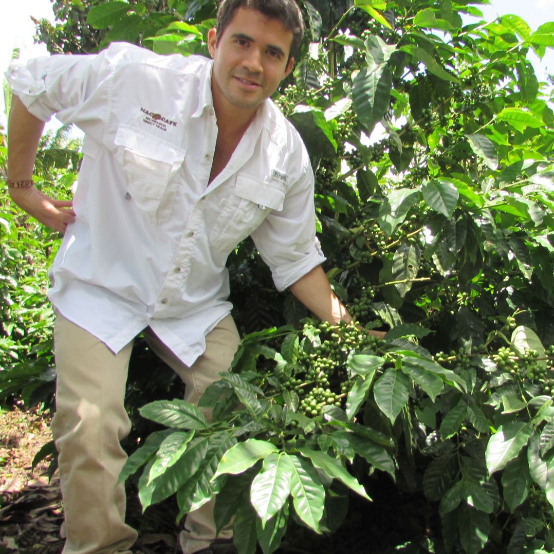 Nicaragua Santa Celia Coffee