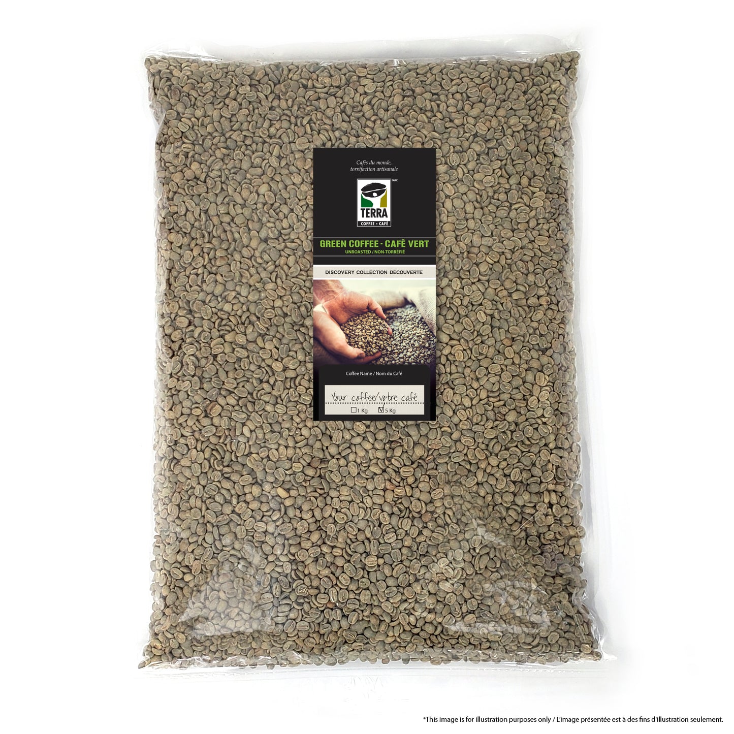 Honduras SHG - Café vert