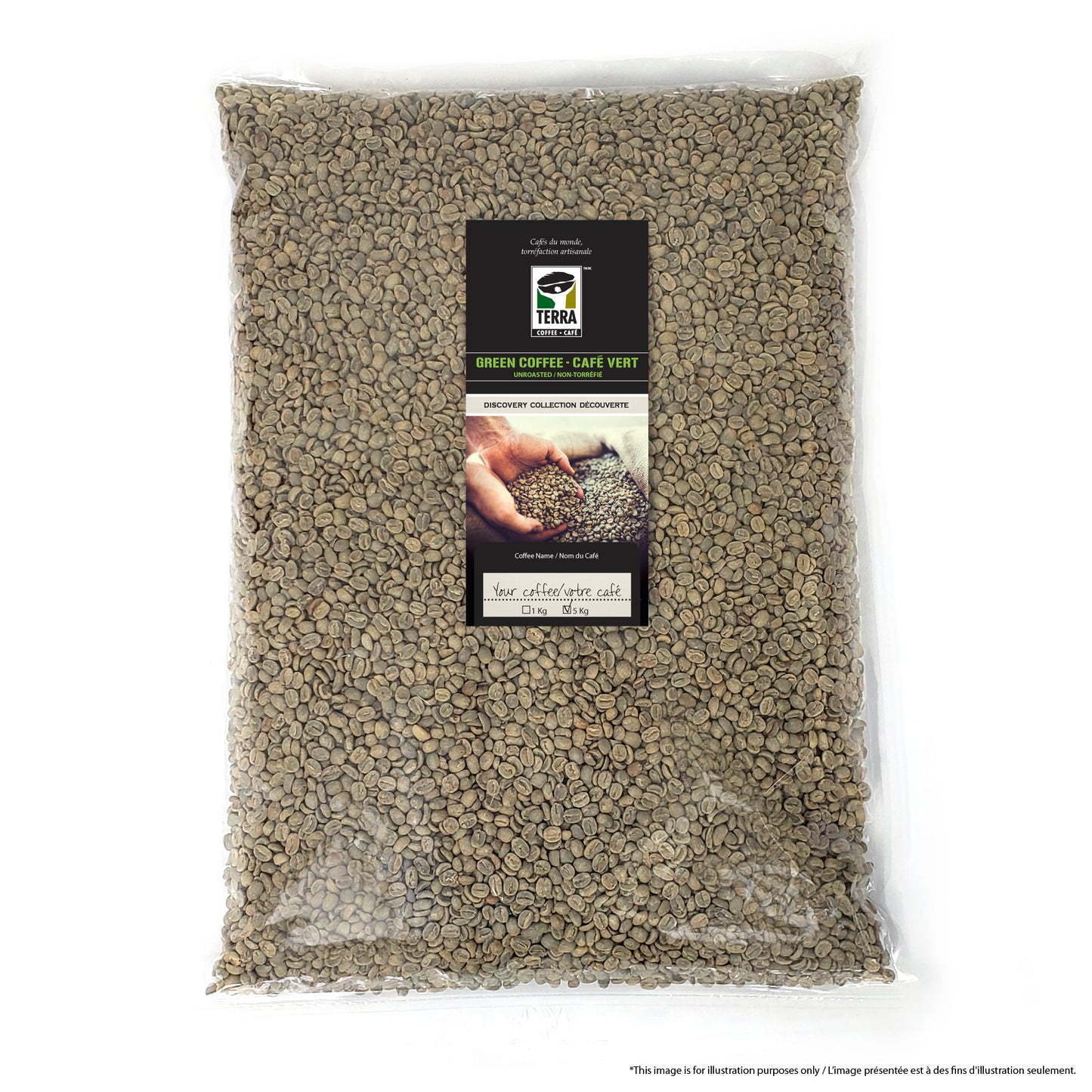 India Mysore Golden Nuggets Extra Bold - Certified RFA - Green Coffee