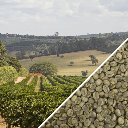 Brazil Bela Vista Pulped Natural - Green Coffee