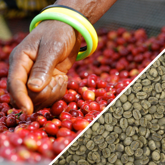 Afrique Burundi FWS - Café Vert