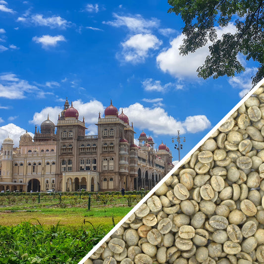 India Mysore Golden Nuggets Extra Bold - Green Coffee