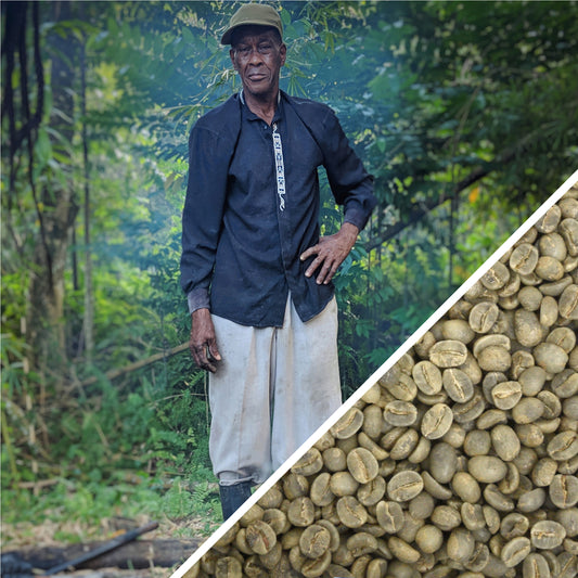 Jamaica High Mountain Supreme Baronhall Estate Gr.1 - Green Coffee