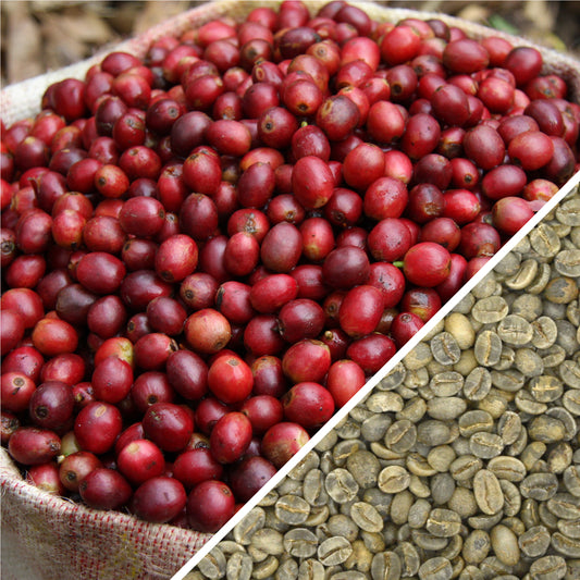 Nepal Mount Everest Supreme - Certified Organic - Green Coffee