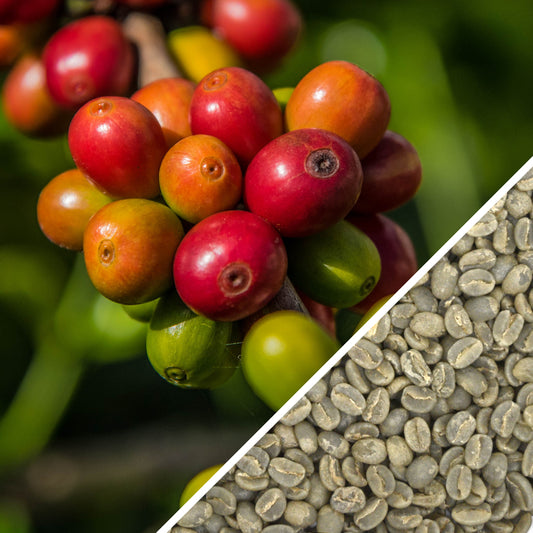 Papua New Guinea AA - Green Coffee