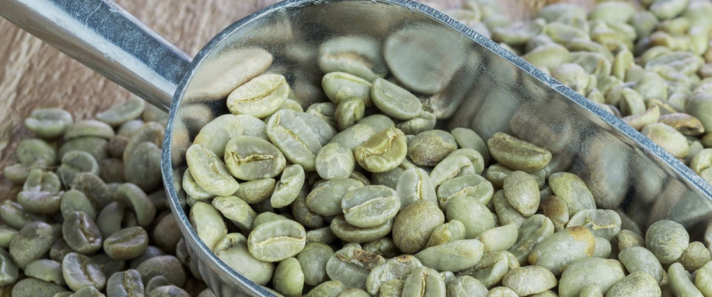 How to make Green Coffee Extract