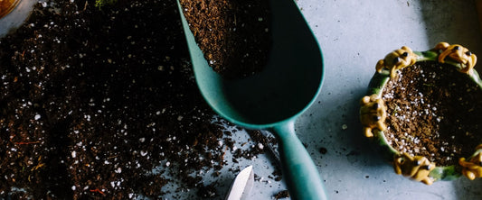 8 Ways to Reuse My Coffee