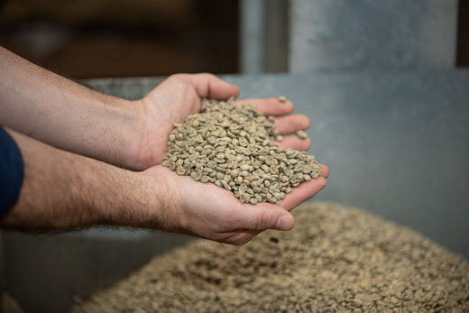 A Beginner's Guide to Home Roasting