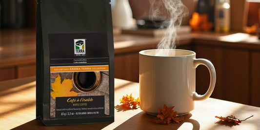 Fall into Flavour with Terra's Cozy Drinks