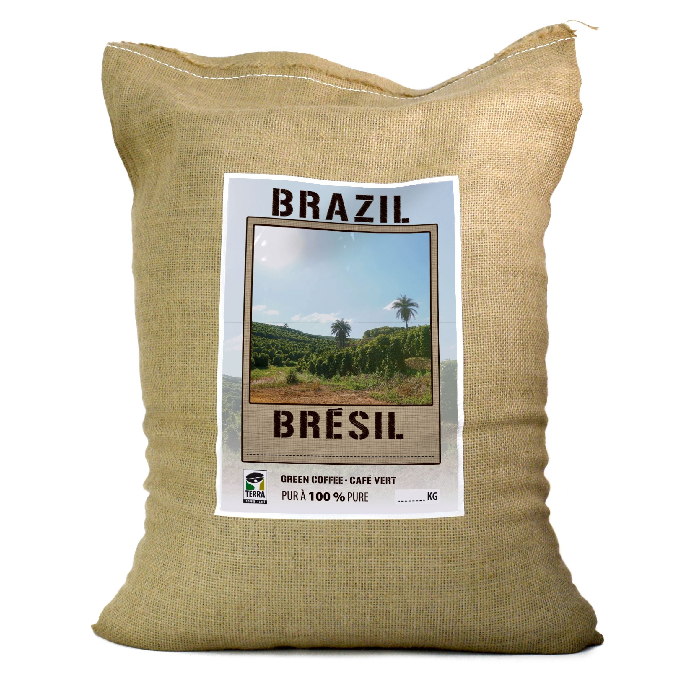 Brazil Bela Vista Peaberry - Green Coffee