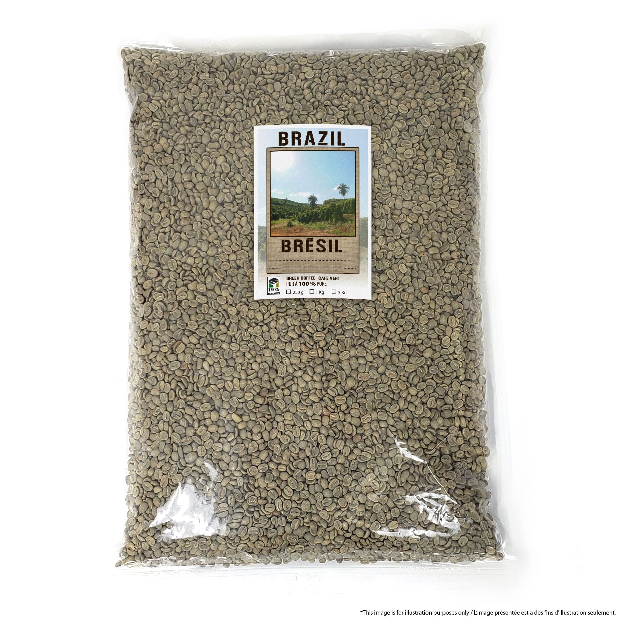 Brazil Bela Vista Peaberry - Green Coffee