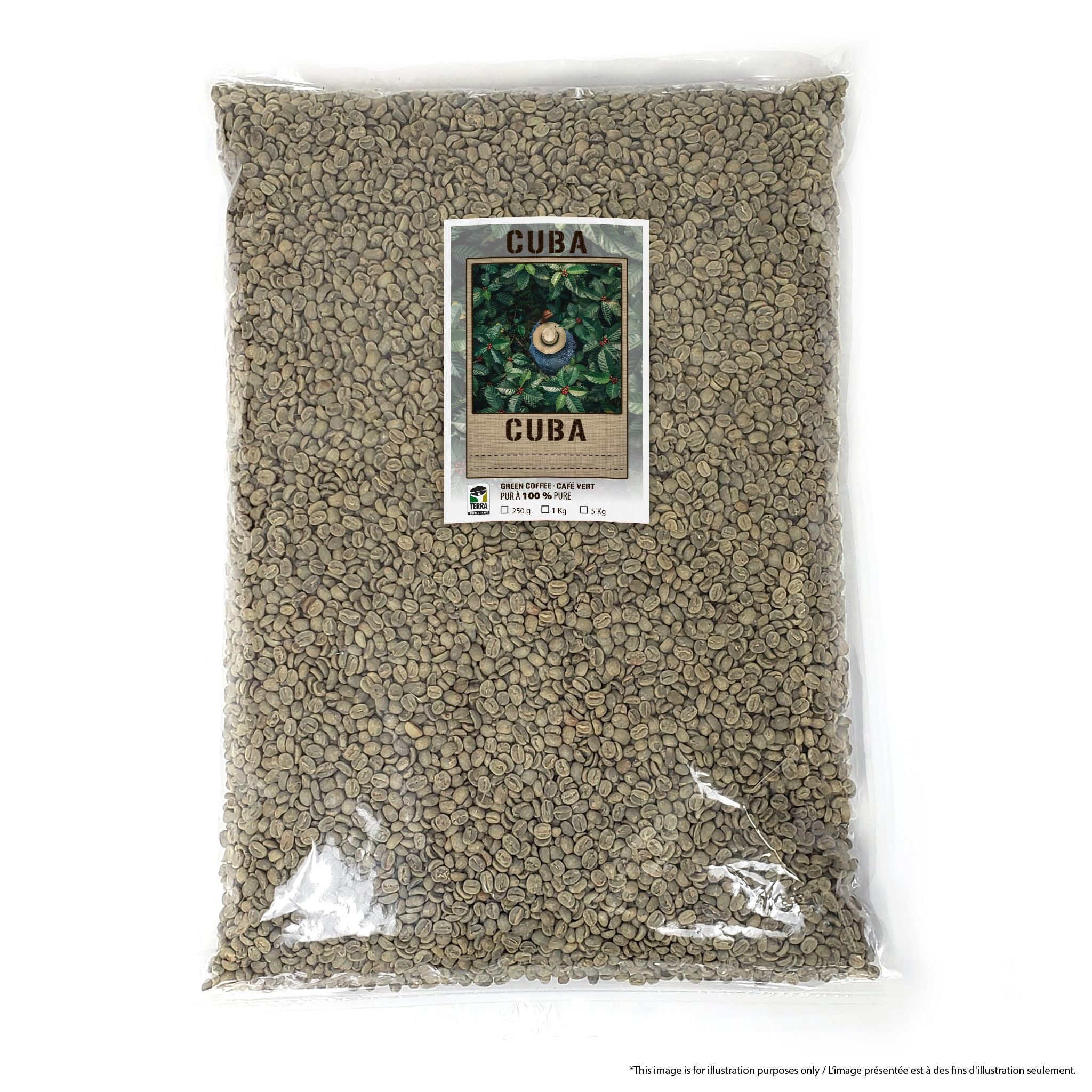 Cuba Turquino Lavado - Green Coffee