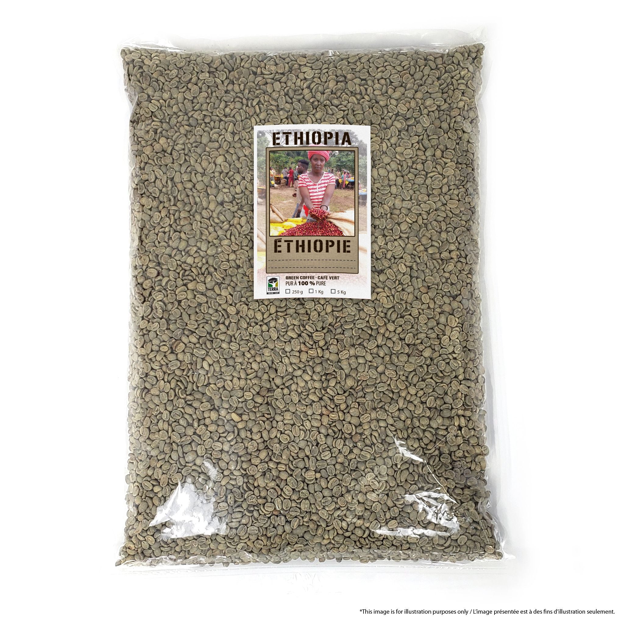 Ethiopia Sidamo Shefina Gr.4 Natural - Certified Organic - Green Coffee