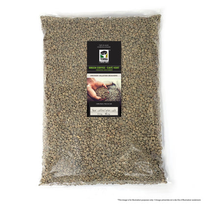 India Parchment Peaberry Robusta - Green Coffee