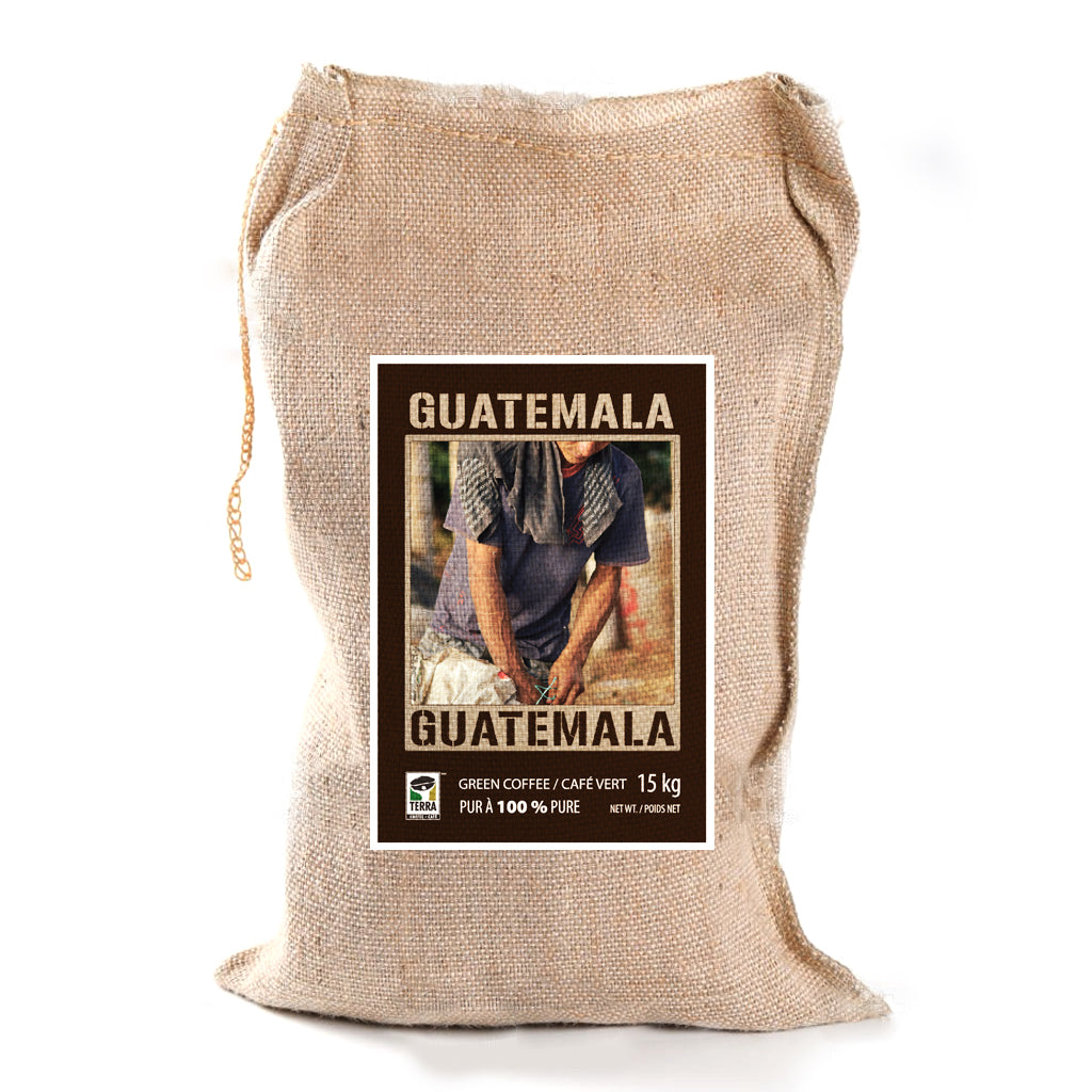 Guatemala Huehuetenango SHB EP - Green Coffee