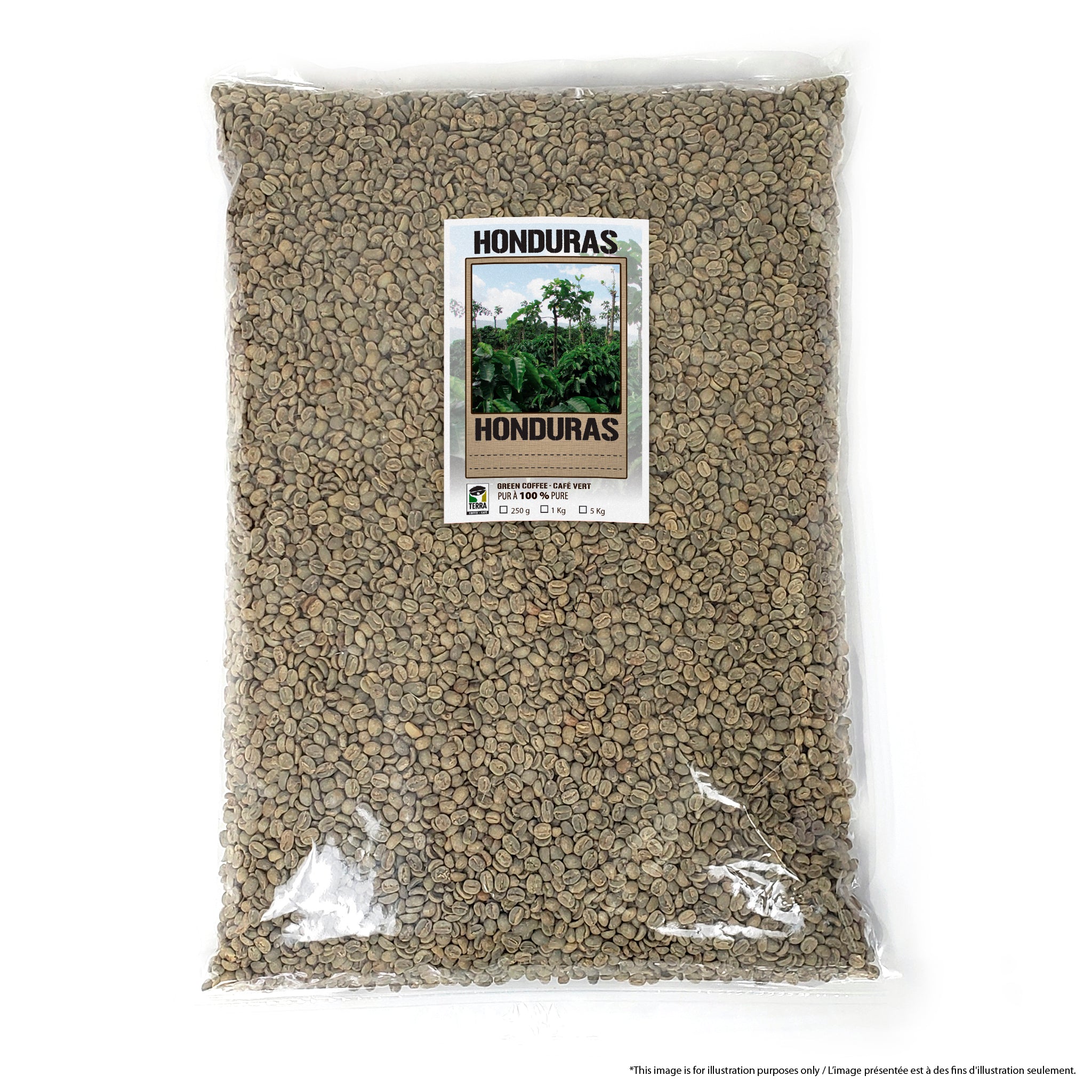 Honduras SHG - Certified Organic - Green Coffee