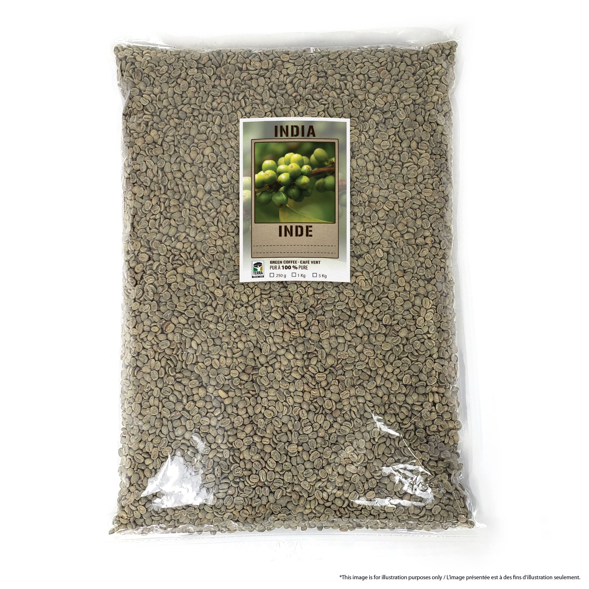 India Mysore Golden Nuggets Extra Bold - Green Coffee