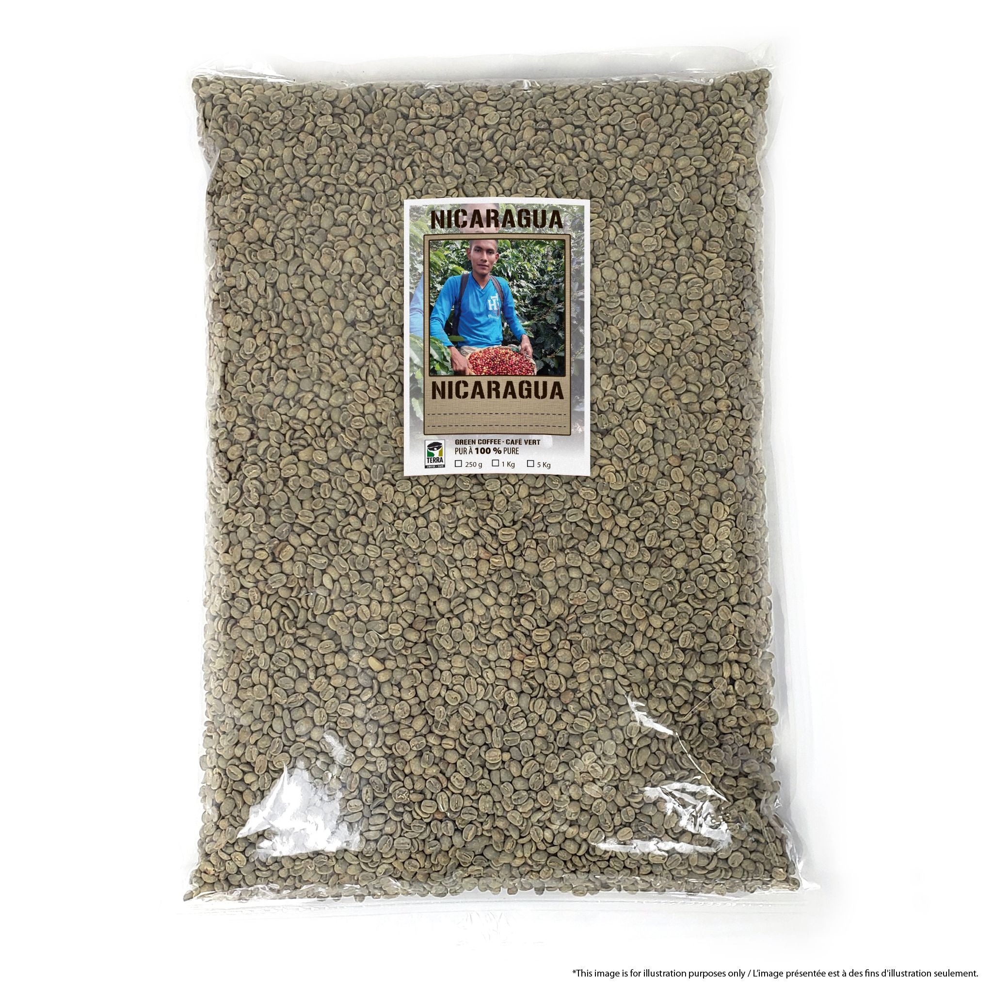 Nicaragua Peaberry Il Cielo Estate - Green Coffee
