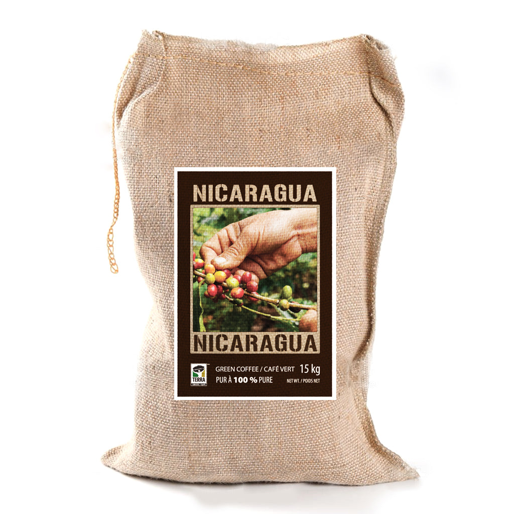 Nicaragua Maragogype Il Cielo Estate - Certified RFA - Green Coffee