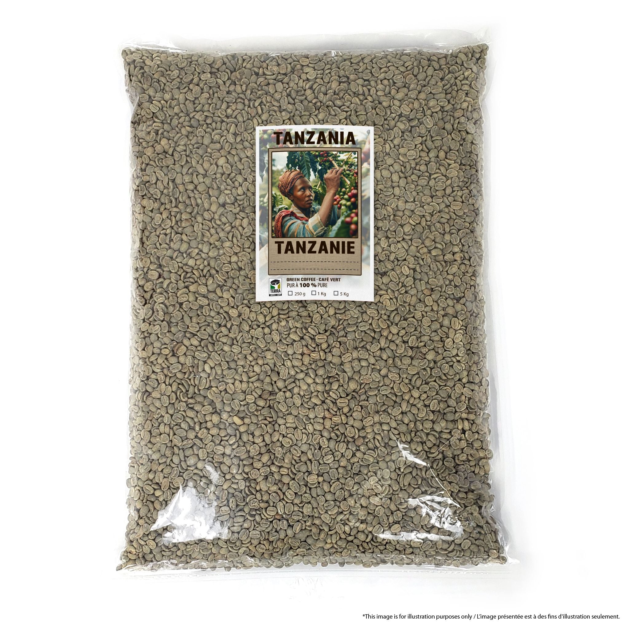 Tanzania AA - Green Coffee