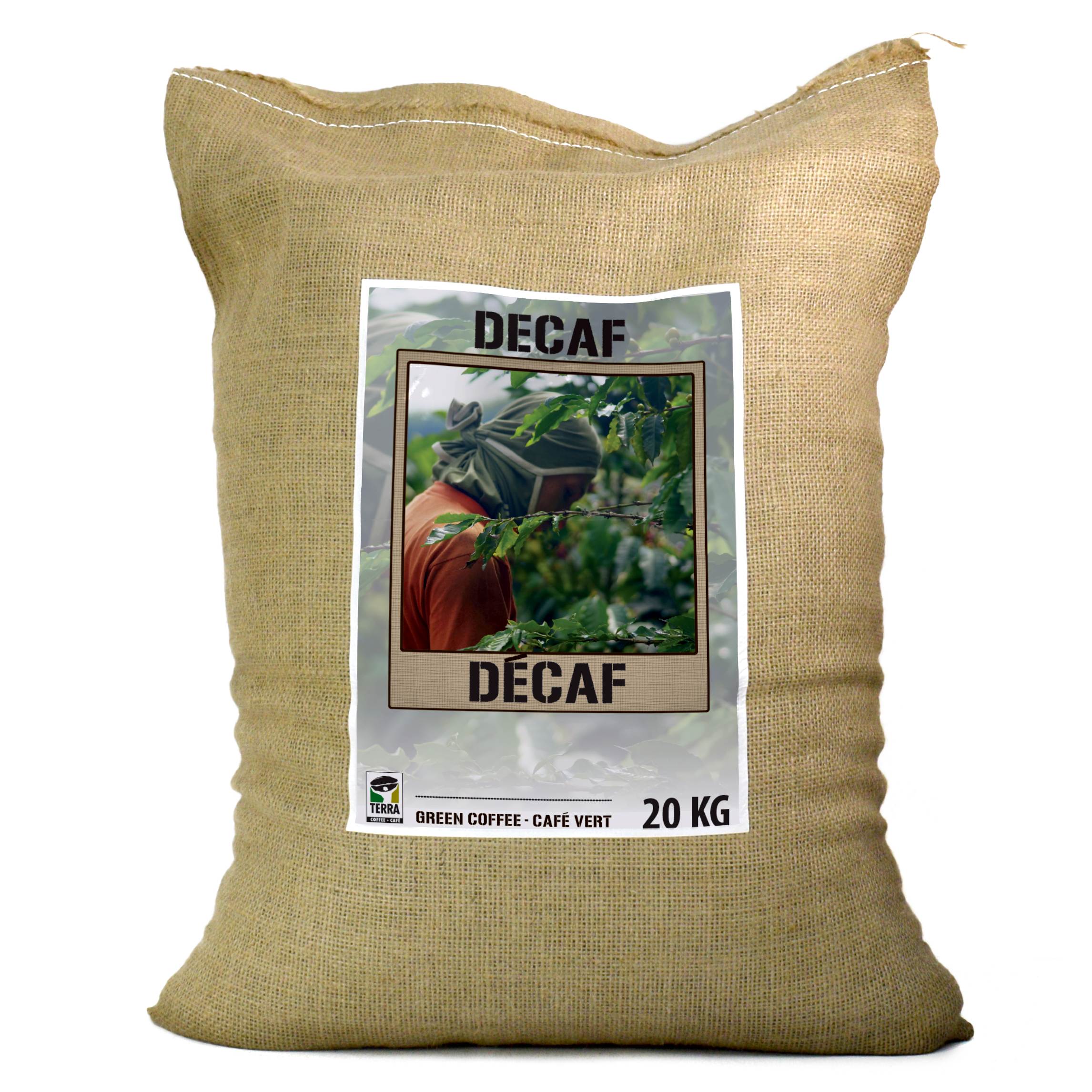 Mountain Water Decaf - Green Coffee