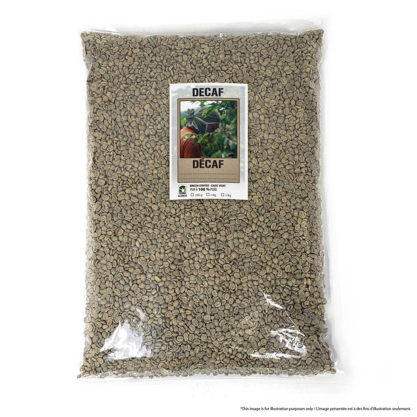 Décaféiné Mountain Water - Café vert