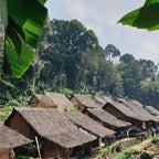Indonésie Flores Watujaji
