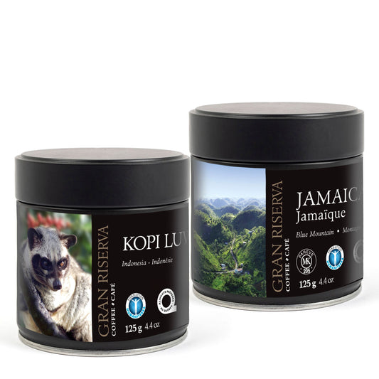 Kit de café - Kopi Luwak & Jamaique Bleue Montagne - 2 X 125 GR