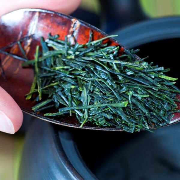 Superior quality green tea leaves from Terra Café & Thé Ariel Tea collection.