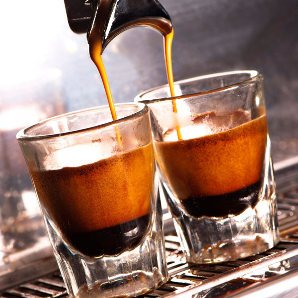 Rich Robusta espresso blend with thick crema from Terra Coffee & Tea.